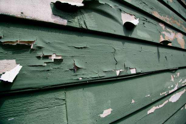 Best Residential Junk Removal  in Maiden, NC